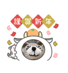 仲良しワンコ達（新年ご挨拶編）（個別スタンプ：8）