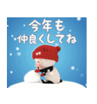 【PopUp】パンダタオル 【年末年始＆冬】（個別スタンプ：20）
