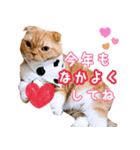 きなことあんこ5（個別スタンプ：2）