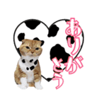 きなことあんこ5（個別スタンプ：5）