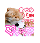 きなことあんこ5（個別スタンプ：8）