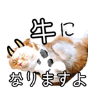 きなことあんこ5（個別スタンプ：18）
