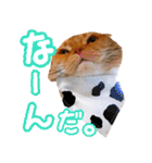 きなことあんこ5（個別スタンプ：19）