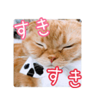 きなことあんこ5（個別スタンプ：26）