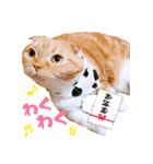きなことあんこ5（個別スタンプ：30）