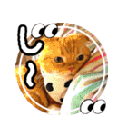 きなことあんこ5（個別スタンプ：31）