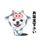 チワワのココやん2020お正月（個別スタンプ：5）