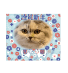 ちーちゃんのお正月（個別スタンプ：2）