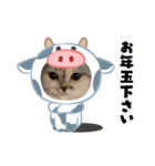 ちーちゃんのお正月（個別スタンプ：3）