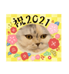 ちーちゃんのお正月（個別スタンプ：4）