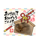 ちーちゃんのお正月（個別スタンプ：5）