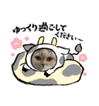 ちーちゃんのお正月（個別スタンプ：8）