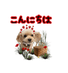 えりぃちゃま1（個別スタンプ：3）