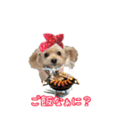 えりぃちゃま1（個別スタンプ：5）