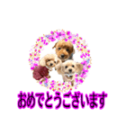 えりぃちゃま1（個別スタンプ：19）
