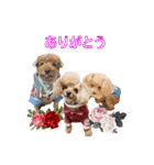 えりぃちゃま1（個別スタンプ：20）