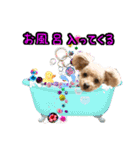 えりぃちゃま1（個別スタンプ：22）