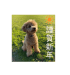 はなちゃんのお正月2021（個別スタンプ：6）