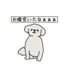 いつも不満な犬のコロ助（個別スタンプ：12）