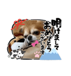うちのてつ年賀状（個別スタンプ：1）