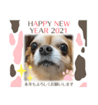 うちのてつ年賀状（個別スタンプ：2）