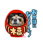 うちのてつ年賀状（個別スタンプ：3）