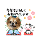 うちのてつ年賀状（個別スタンプ：4）