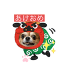 うちのてつ年賀状（個別スタンプ：6）