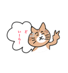 三河出身のねこだにぃ②（個別スタンプ：14）