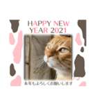 だいずくんとまめちゃんちの年賀状(2021年)（個別スタンプ：1）
