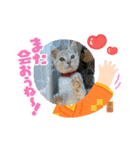 だいずくんとまめちゃんちの年賀状(2021年)（個別スタンプ：2）