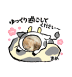 だいずくんとまめちゃんちの年賀状(2021年)（個別スタンプ：3）