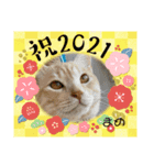 だいずくんとまめちゃんちの年賀状(2021年)（個別スタンプ：5）