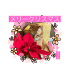 だいずくんとまめちゃんちの年賀状(2021年)（個別スタンプ：6）