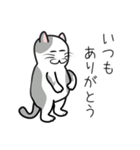 猫’s スタンプ 3（個別スタンプ：1）