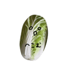 白菜もぐもぐ（個別スタンプ：2）