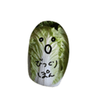 白菜もぐもぐ（個別スタンプ：3）