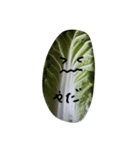 白菜もぐもぐ（個別スタンプ：4）