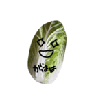 白菜もぐもぐ（個別スタンプ：6）