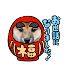 柴犬のふく太郎（個別スタンプ：22）