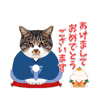 猫たちから年末年始の可愛いご挨拶♪2021（個別スタンプ：2）