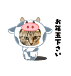 ミニーちゃんと、牛さんのお正月用スタンプ（個別スタンプ：10）