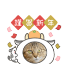 ミニーちゃんと、牛さんのお正月用スタンプ（個別スタンプ：11）