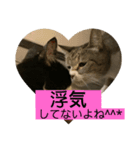 ちびみや11（個別スタンプ：10）