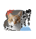 ＊もなかのスタンプ6＊（個別スタンプ：1）
