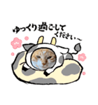 ＊もなかのスタンプ6＊（個別スタンプ：5）
