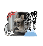 大福のスタンプ❤️（個別スタンプ：1）