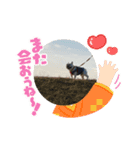大福のスタンプ❤️（個別スタンプ：8）