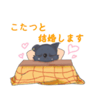 ごくぬこさん(冬)（個別スタンプ：3）