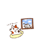 さばねこ5（個別スタンプ：8）